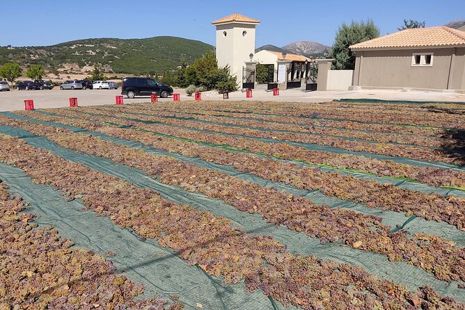 Kefalonia: Private Olive Oil, Honey & Wine Tasting Experience - What the guide adds to the day