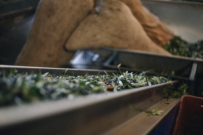 Kleanthi Olive Farm: Guided Tour with Local Delicacies Tasting - The tasting table is the real payoff