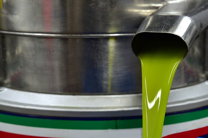 Kleanthi Olive Farm: Guided Tour with Local Delicacies Tasting - Who will enjoy Kleanthi Olive Farm most