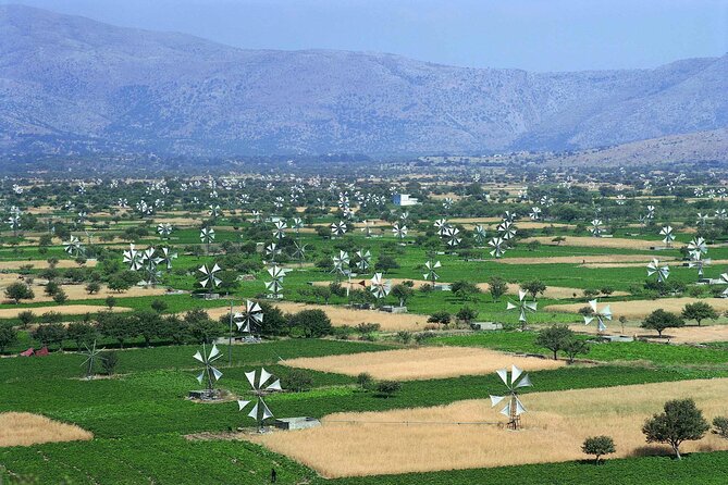 Knossos & lasithi plateau villages,Zeus's cave,&olive oil Mill - Omalia Olive Press: start with Crete’s everyday treasure