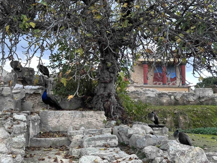 Knossos Palace Skip-the-Line Ticket & Private Guided Tour - Restored walls, ancient remains, and the value of visual aids