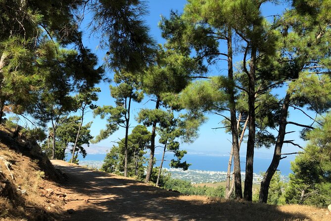 Kos 4x4 Exploration: Views, Villages & Flavors - Zia lunch and 90 minutes of free time