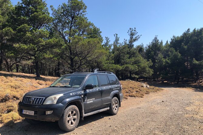 Kos 4x4 Exploration: Views, Villages & Flavors - Turtle Lake and the slower side of Kos