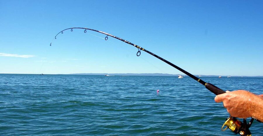 Kos: Fishing Trip Experience with a Greek Fisherman's Family - Key points before you cast off
