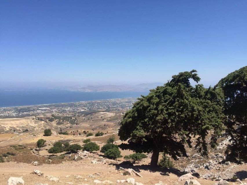 Kos: Full-Day Jeep Safari with Lunch - Key points at a glance