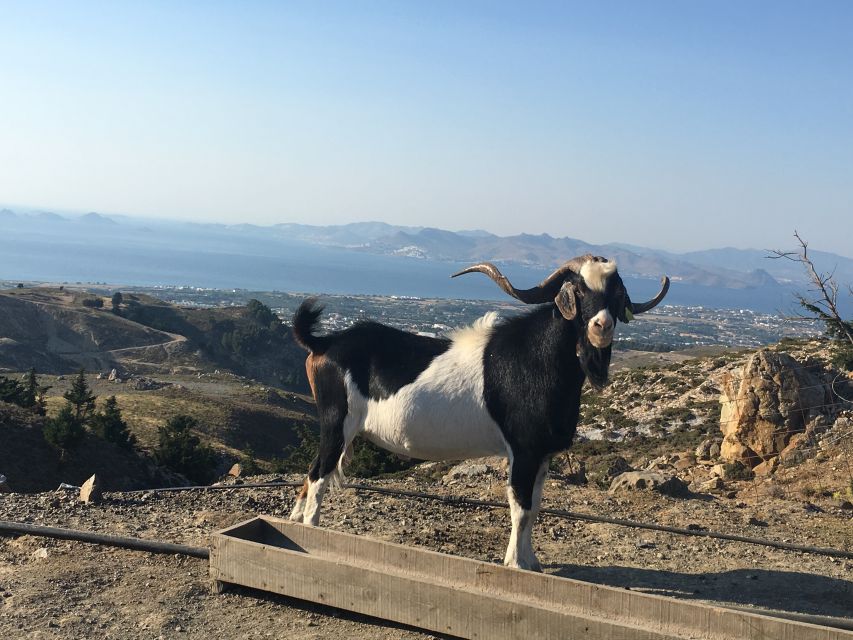 Kos: Full-Day Jeep Safari with Lunch - Why this Jeep safari shows a different Kos