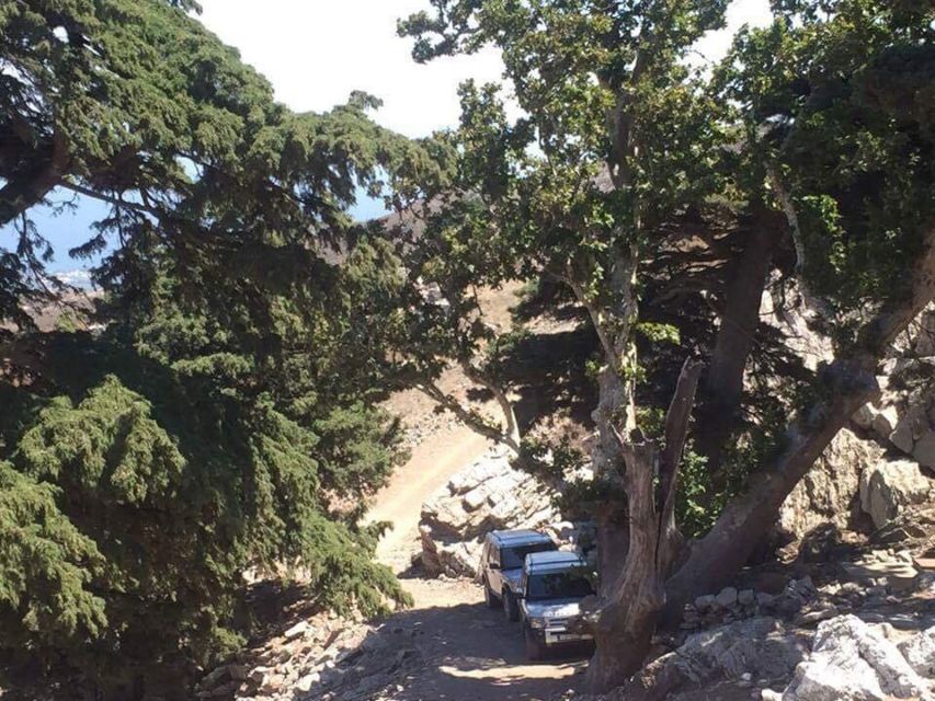 Kos: Full-Day Jeep Safari with Lunch - Osias Melou Church and the island’s local traditions