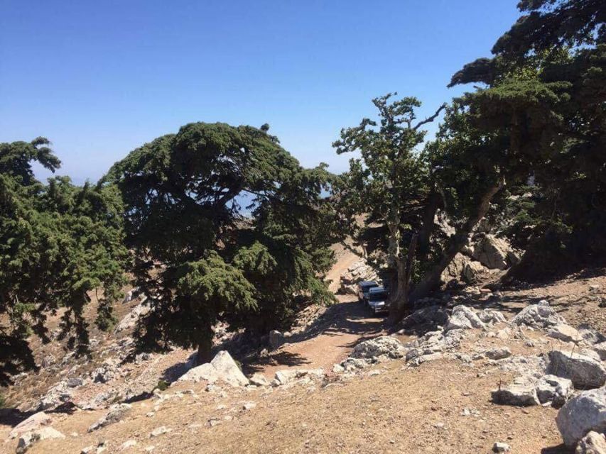 Kos: Full-Day Jeep Safari with Lunch - Climbing toward Profitis Ilias and Mount Dikaios