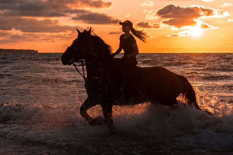 Kos: Horse Riding Experience on the Beach with Instructor - Key points to know before booking