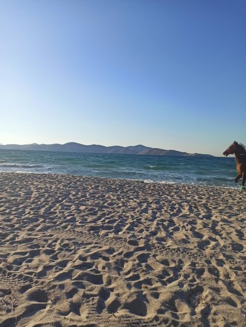 Kos: Horse Riding Experience on the Beach with Instructor - From Tigaki’s salt lake to the edge of the sea
