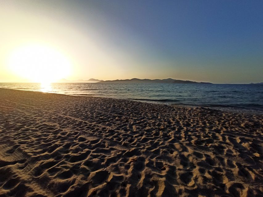 Kos: Horse Riding Experience on the Beach with Instructor - The horses and the care behind the ride