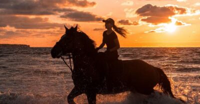 Horse Riding Experience on the Beach with Instructor