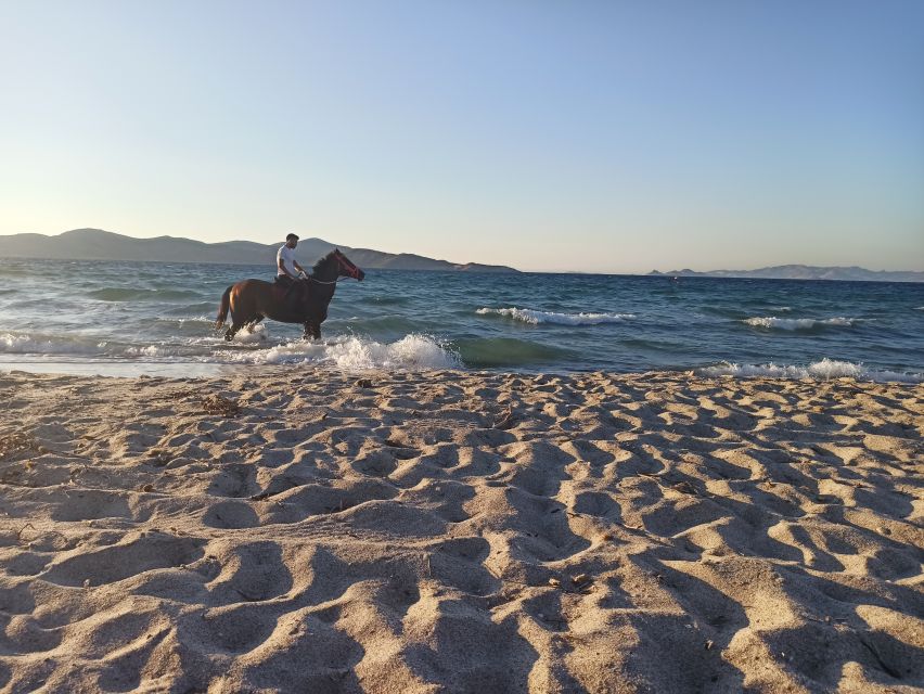 Kos: Horse Riding Experience on the Beach with Instructor - How the one-hour schedule works