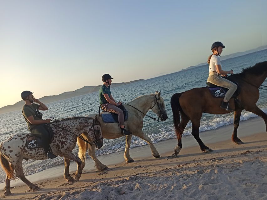 Kos: Horse Riding Experience on the Beach with Instructor - Who should book this Kos horse ride