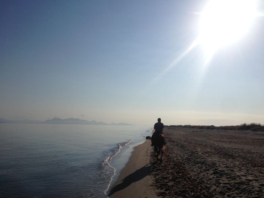 Kos: Horse Riding Experience on the Beach with Instructor - A good choice for nervous beginners