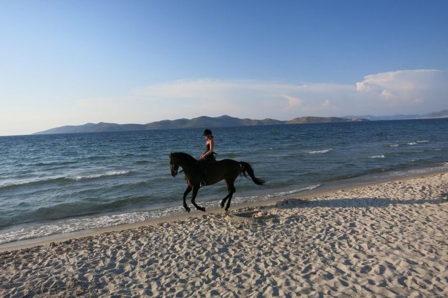 Kos: Horse Riding Experience on the Beach with Instructor - Should you book this experience?