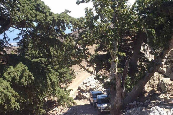 Kos Land Rover Safari - What the Land Rover ride feels like
