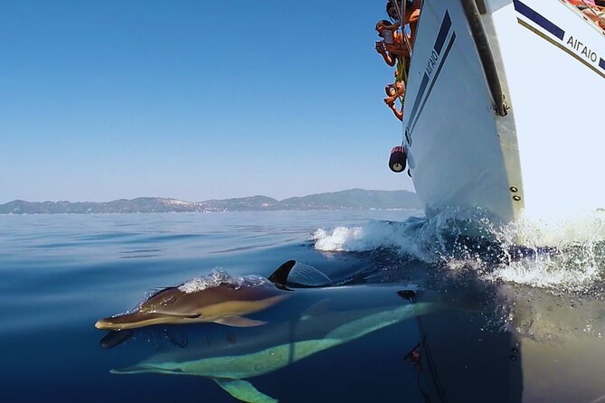 Kos: Small Group Full-Day Sailing with Meal, Drinks, & Swim - Who will get the most from this cruise