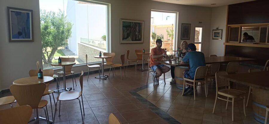 Kos: Wineries Tour w/ Wine Tastings & Transportation - Buying bottles and taking Kos wine home