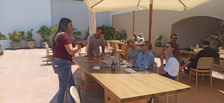 Kos: Wineries Tour w/ Wine Tastings & Transportation - Small details that make the day better