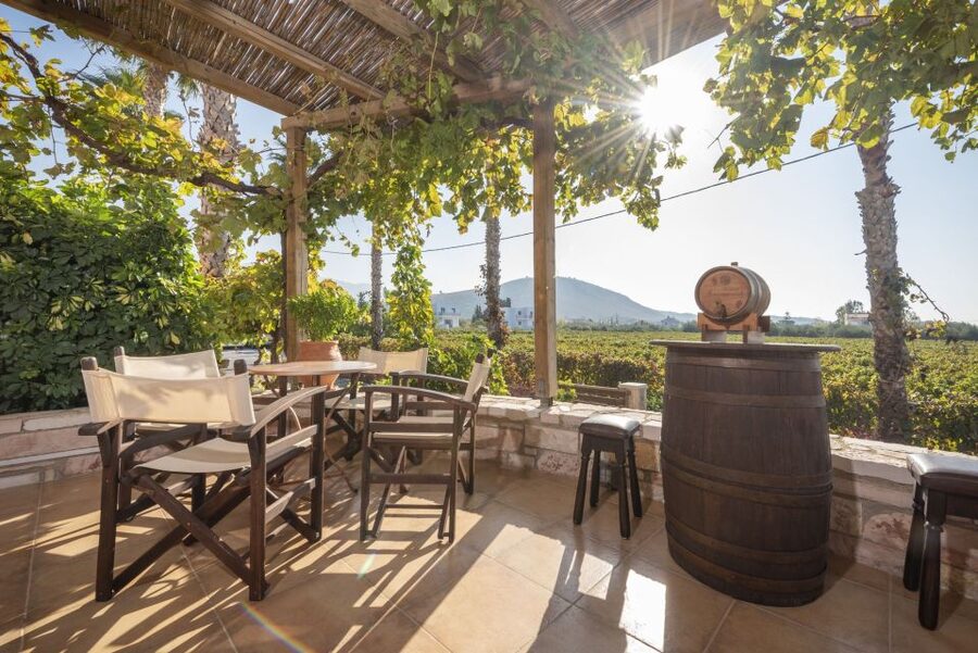 Kos: Wineries Tour w/ Wine Tastings & Transportation - Hatziemmanouil Vineyards in Tigaki: start with the craft