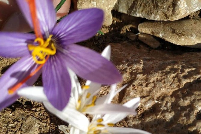 Lasithi –Plateau Traditional Vilages - Kritsa, a village with stories in its stones