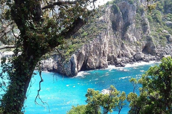 Leisurely Tour of Corfu - What this Corfu shore excursion is really like