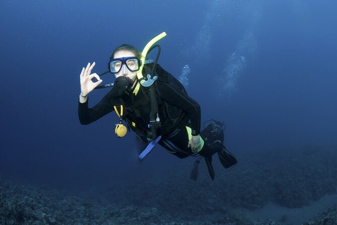 Lets Go Diving with pickup from hotel - Key points to know before booking
