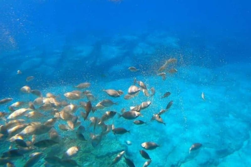 Lindos: Submarine Cruise with Swimming Stop at Navarone Bay - Why this short cruise works so well in Lindos