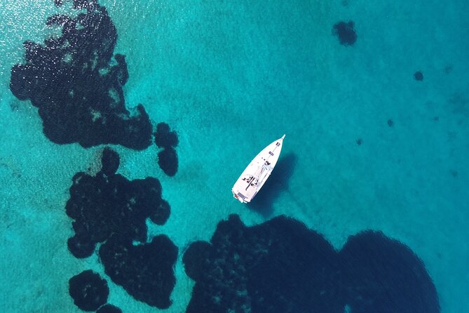 Luxury Catamaran Morning Semi-Private & Greek Gastronomy Athens - Greek food served through the morning