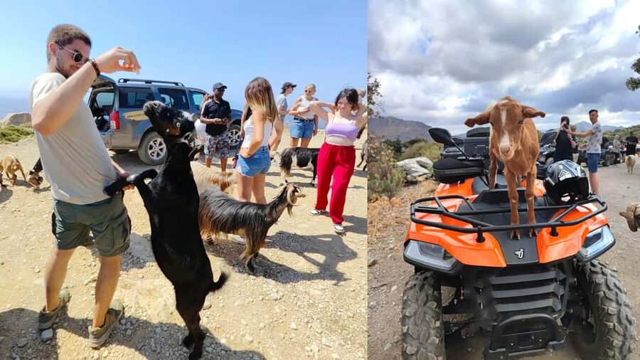 Malia: Off-Road Quad Safari Tour with Lunch and Transfers - Starting from Malia and getting set for the ride
