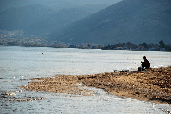 Marathon, Thermopylae, Thebes/Plataea, Herodotus Private Tour 10h - Thermopylae, where geography tells the story