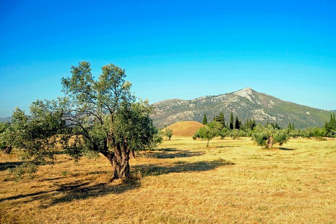 Marathon, Thermopylae, Thebes/Plataea, Herodotus Private Tour 10h - Thebes adds a serious museum visit