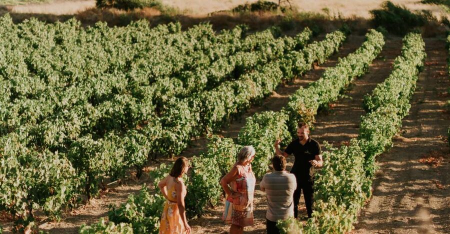 Milos Island: Kostantakis Winery Wine Tasting Experience - Should you book Kostantakis Winery?