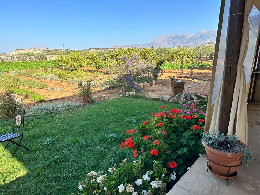 Moires: Cooking Class and Olive Oil Tasting at a Family Farm - Should you book Cretan Vibes near Moires?
