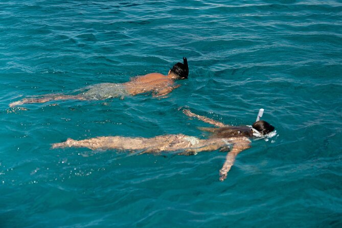 Mykonos: Brand-New Catamaran Cruise with Meal, Drinks & Transport - Is $180.19 a fair price?