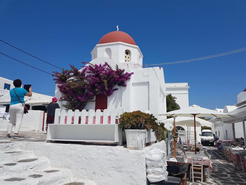 Mykonos: Full-Day Sightseeing Tour with Lunch - Guides, vehicles, and the pace of the day