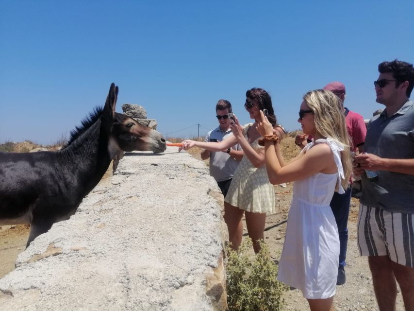 Mykonos: Highlights Tour with Panagia Tourliani Monastery - Key points to know before booking