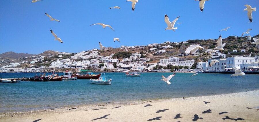 Mykonos: Highlights Tour with Panagia Tourliani Monastery - Agrari Beach, a useful pause by the water