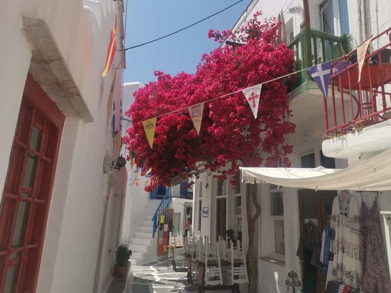 Mykonos: Private Tour with Range Rover - What the guide adds to the experience