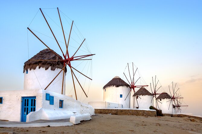 Mykonos Shore Excursion: Elia Beach & Town Exploration - Key points to know before booking