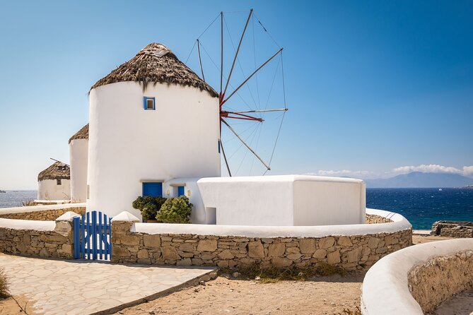 Mykonos Shore Excursion: Elia Beach & Town Exploration - Who should book this excursion?