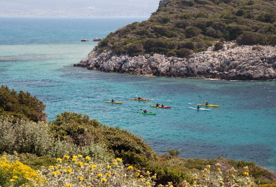 Navarino Bay: Sea Kayaking with Lunch - What lunch adds to the experience