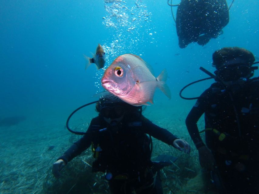 Naxos: Discover Scuba Diving - Your first experience diving - Why Agios Prokopios is a good place to try scuba