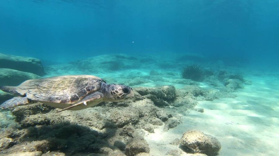Naxos: Discover Scuba Diving - Your first experience diving - What $112 includes, and what it does not