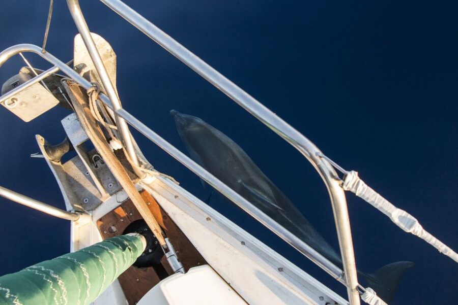 Naxos: Full-Day Small Cyclades Sailing Cruise - The boat and the small-group advantage