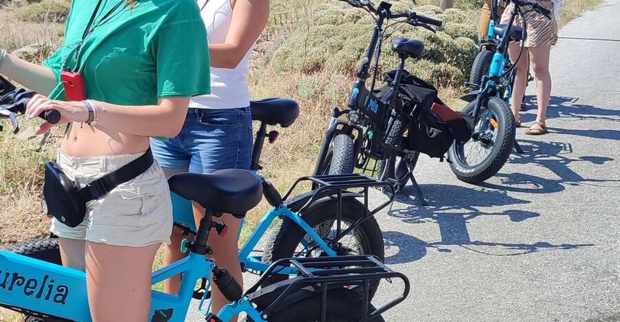 Naxos: Private E-Bike Tour with Farm Lunch - Eggares Valley, orchards and Aegean views
