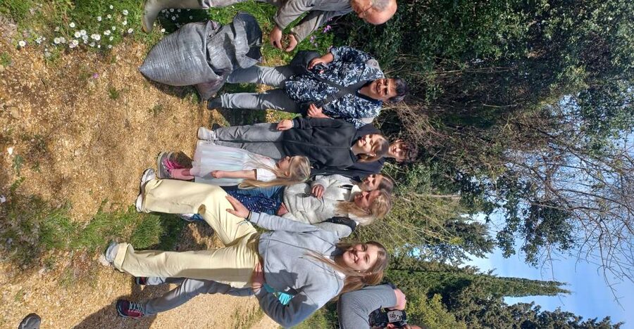 North Corfu: Olive Tour with Olive Oil Tasting and Mezze - How the $64 price compares with the experience
