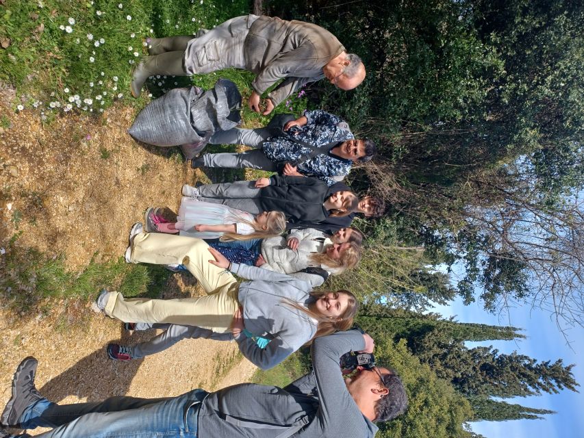 North Corfu: Olive Tour with Olive Oil Tasting and Mezze - Walking through the Corfiot olive grove