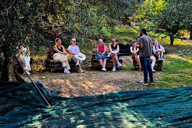 North Corfu Olive Tour With Olive oil Tasting & Meze - Walking among Corfu’s old olive trees